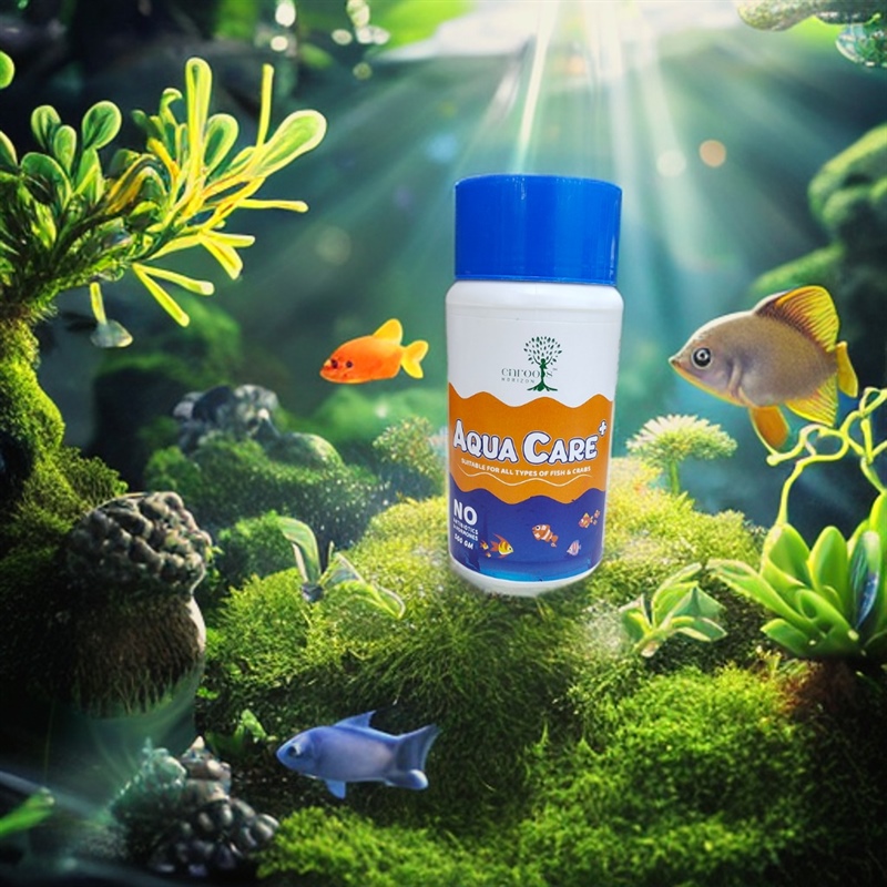 Aquacare fish clearance